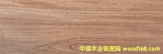 �����M����ľ��Ԕ����B