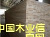 �c���鿴��ľ����Ŵ�DƬ
