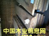 ����ľ��Ԕ����B