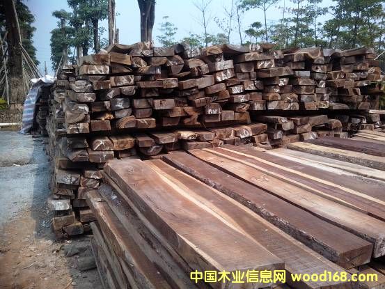 ���޴�t��֦��Ԕ����B