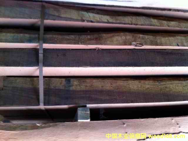 ������֦��Ԕ��(x��)��B