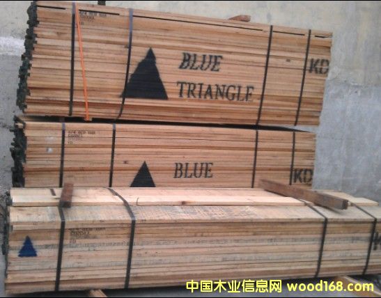 �t��-�{(l��n)���ǵ�Ԕ��(x��)��B