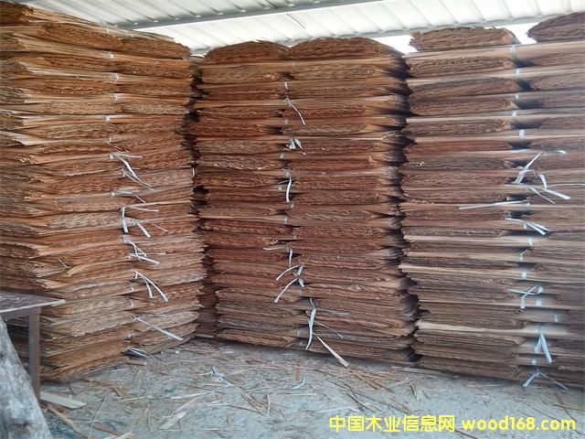 ��ľо���Ԕ����B