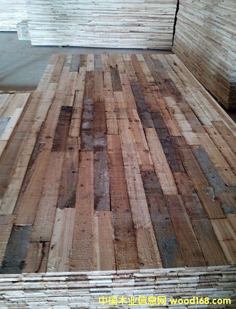 ��(x��)ľ����о  �������Ԕ��(x��)��B