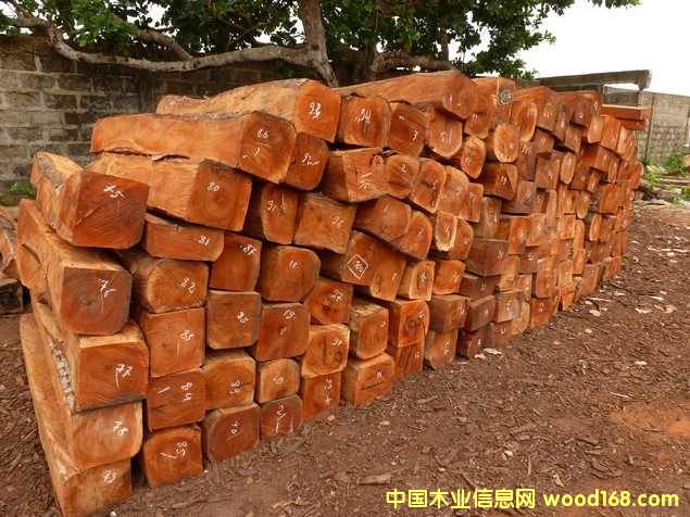 �tľ��Ԕ��(x��)��B