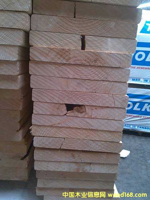 �����Fɼ��Ԕ��(x��)��B