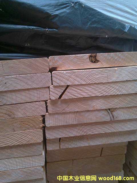 �����Fɼ��Ԕ��(x��)��B