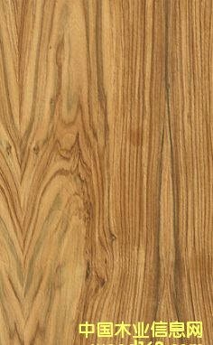 �ϓ���֦��Ԕ����B