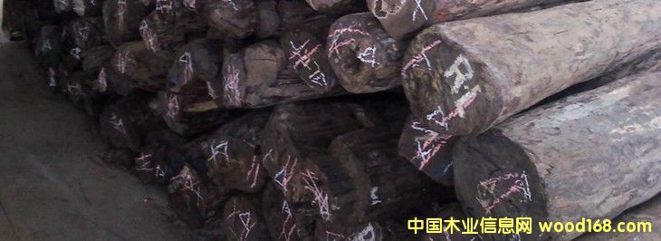 ���~��̴ ԭľ��Ԕ����B