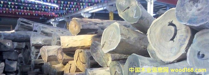 �M�� �G̴ ԭľ��Ԕ����B