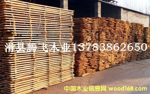 ���Ƹ��NҎ���ġ��l��Ԕ����B