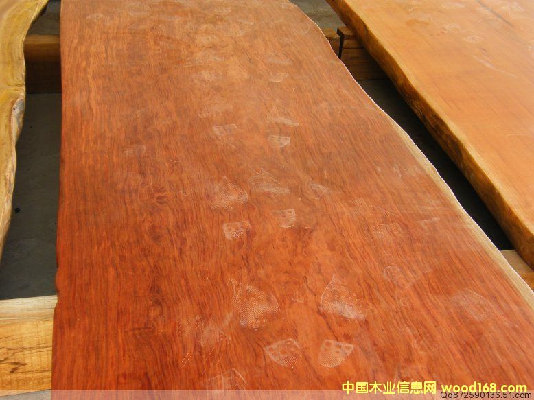 ��̖ 84-26��Ԕ����B