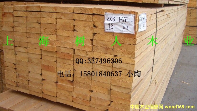 �Fɼ��Ԕ����B