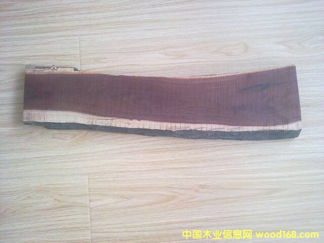 ��������ľ��Ԕ����B