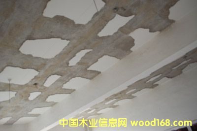 �c���鿴̼�w�S���Ŵ�DƬ