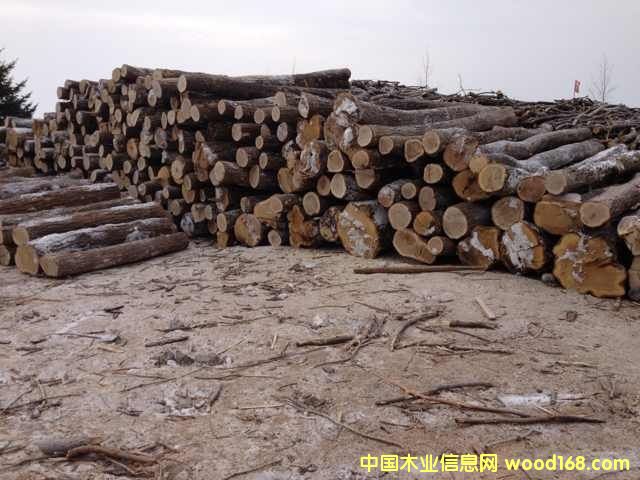 �ľԭľ��Ԕ��(x��)��B