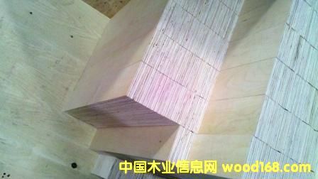  ��ľ�������ϣ����У���Ԕ����B