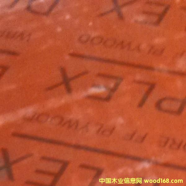 ����������Ԕ����B