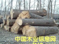 ��ͩԭľ��Ԕ����B