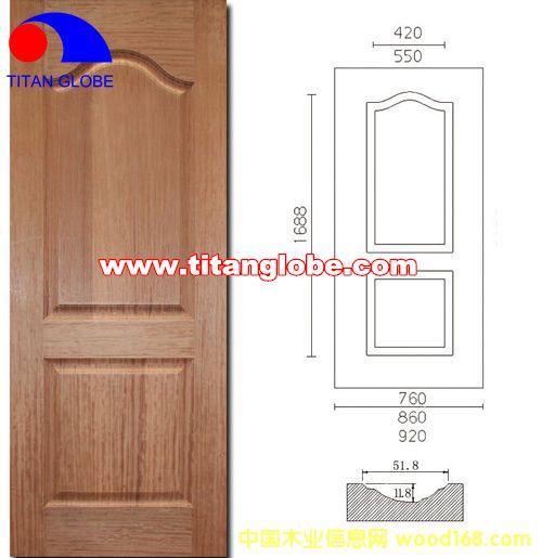 Door Skin-Titan Globe��Ԕ����B