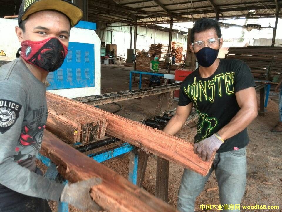 ����䏲ĵ�Ԕ����B