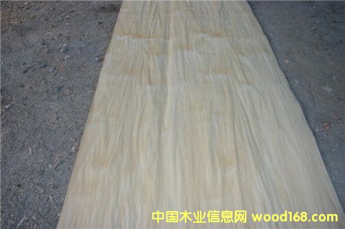 ��ľ��Ƥ��Ԕ����B