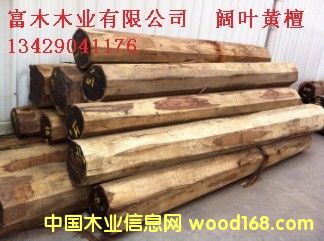 ӡ�����֦����~�S̴���