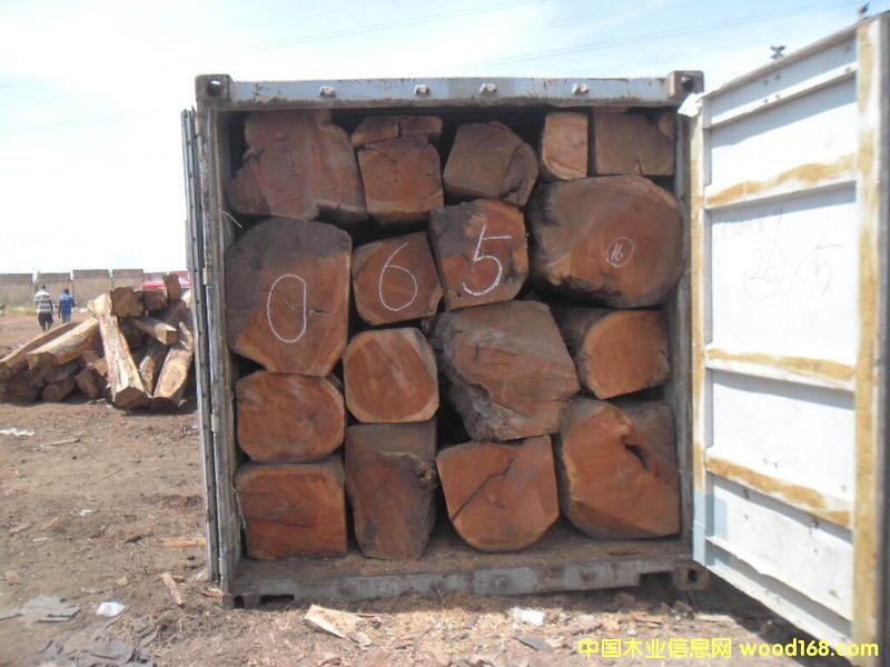 ����ľ����