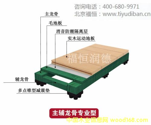 ��ľ�������ǽ����͵�Ԕ����B