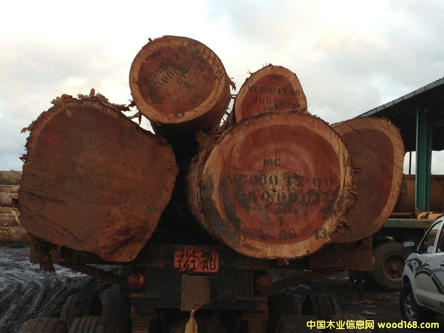 �t�����Ԕ��(x��)��B