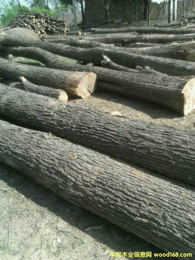 ɽ�|�ľ��Ԕ����B