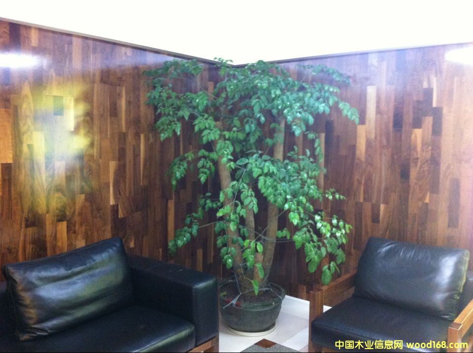 KS8356���_����ľ��Ԕ����B