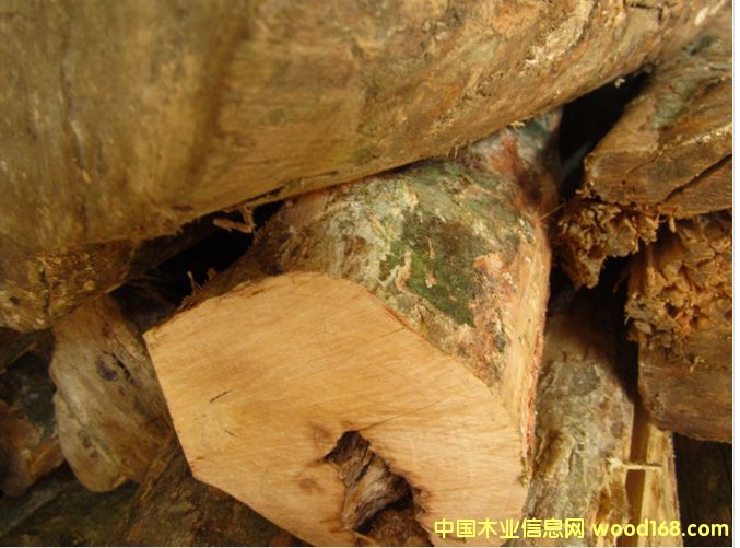 ������С�~�S��ľ��Ԕ����B