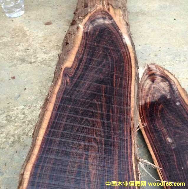 �����V�����|����ľ��Ԕ����B