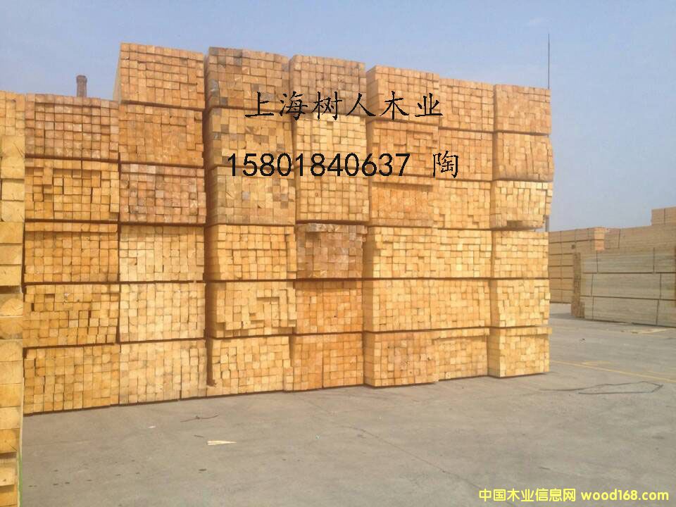 ���ɷ�ľ��Ԕ����B