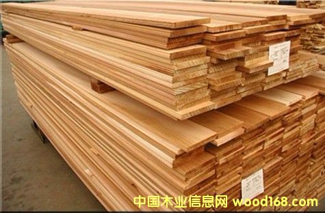 �c���鿴��ľ������ľ���Ŵ�DƬ