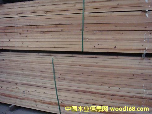 �c���鿴���ô�tѩ�ɷŴ�DƬ