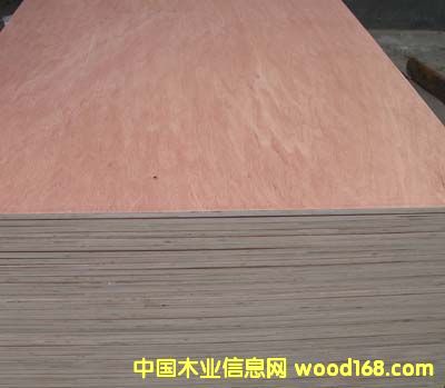 12MM���ǹ�