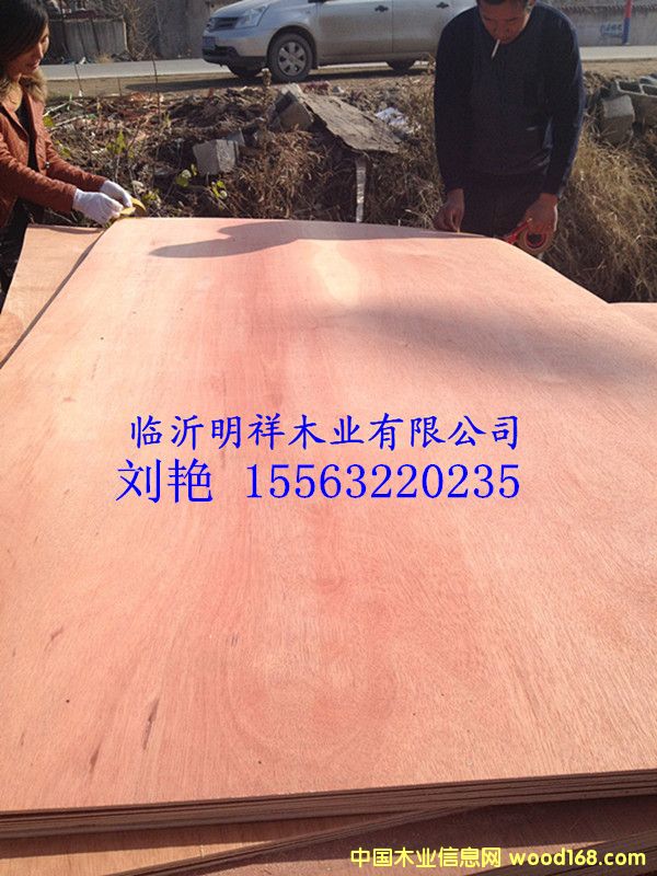 ����9����ǹ�����z�ϰ��Ԕ����B