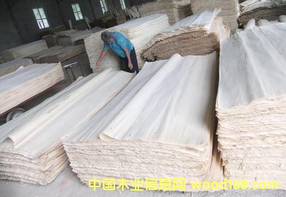 ��ľ��ĵ�Ԕ����B