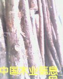 ľ���Ԕ����B