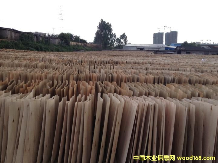 ��ľ�ΰ��Ԕ����B