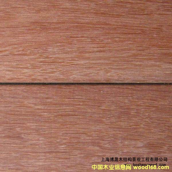 �c���鿴ɽ��ľ�Ŵ�DƬ