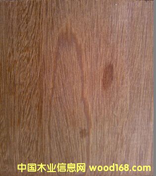 ����կ ��ľ�����}�񣩵�Ԕ����B