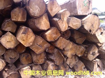 �Ӽ{  �����̴�������棩��Ԕ����B