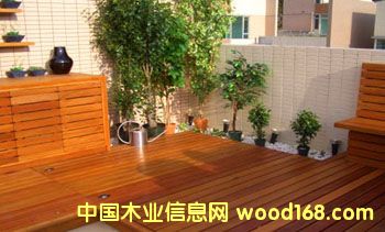 �c���鿴�͵�ľ�Ŵ�DƬ