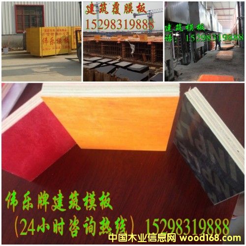 �c���鿴��Ĥ����ģ��Ŵ�DƬ