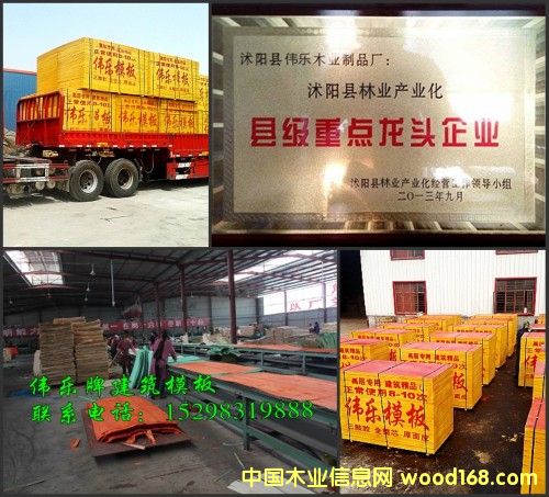 �c���鿴����ģ��r��Ŵ�DƬ