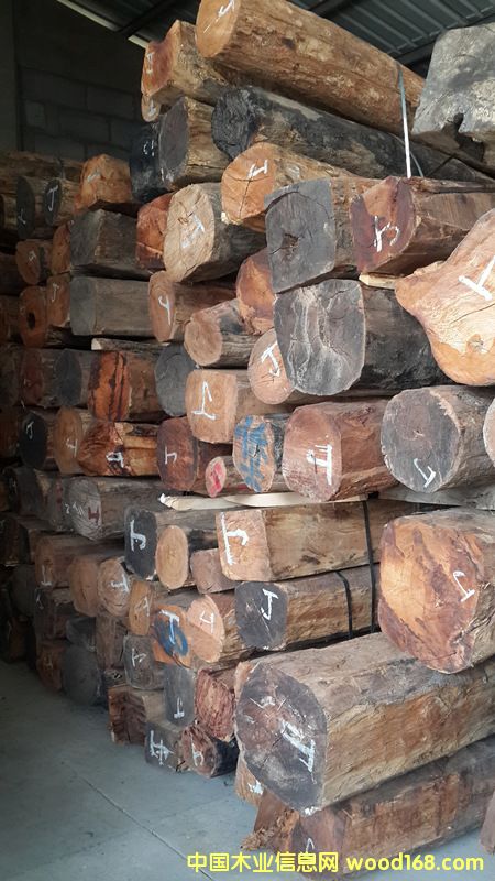 ���黨���Ԕ����B