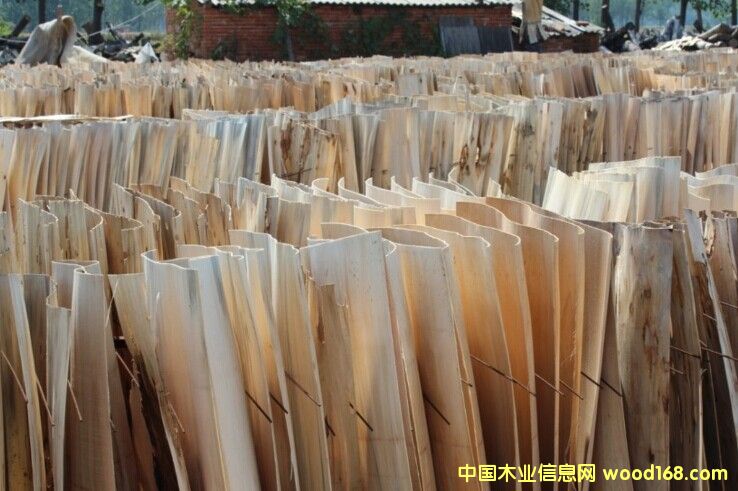 ���o���Ԕ����B